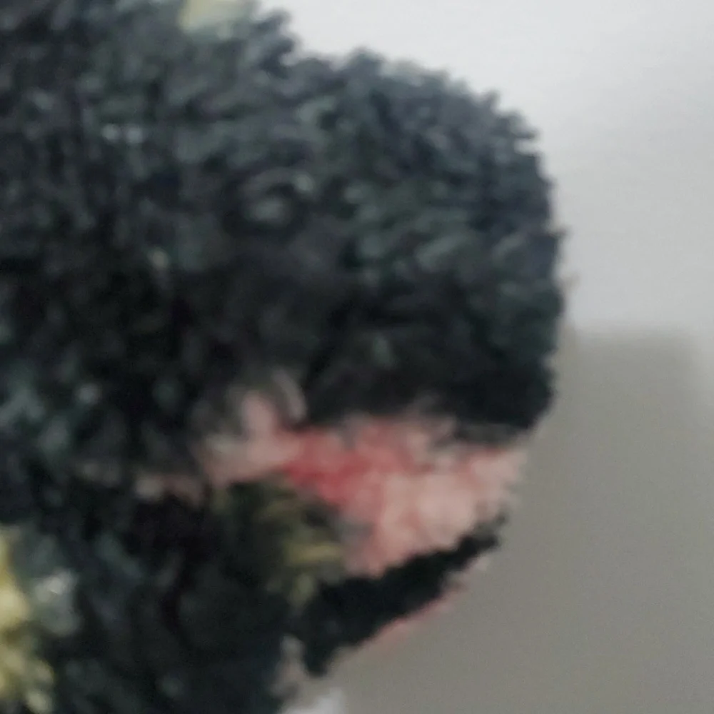 Sandy Liang X Target Jacket Women's XS Black Colorpop NYC Fleece Floral Sherpa‎